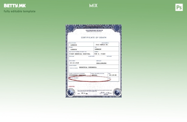 Модерен стил на САД Тексас Одделот за здравствена смрт шаблон